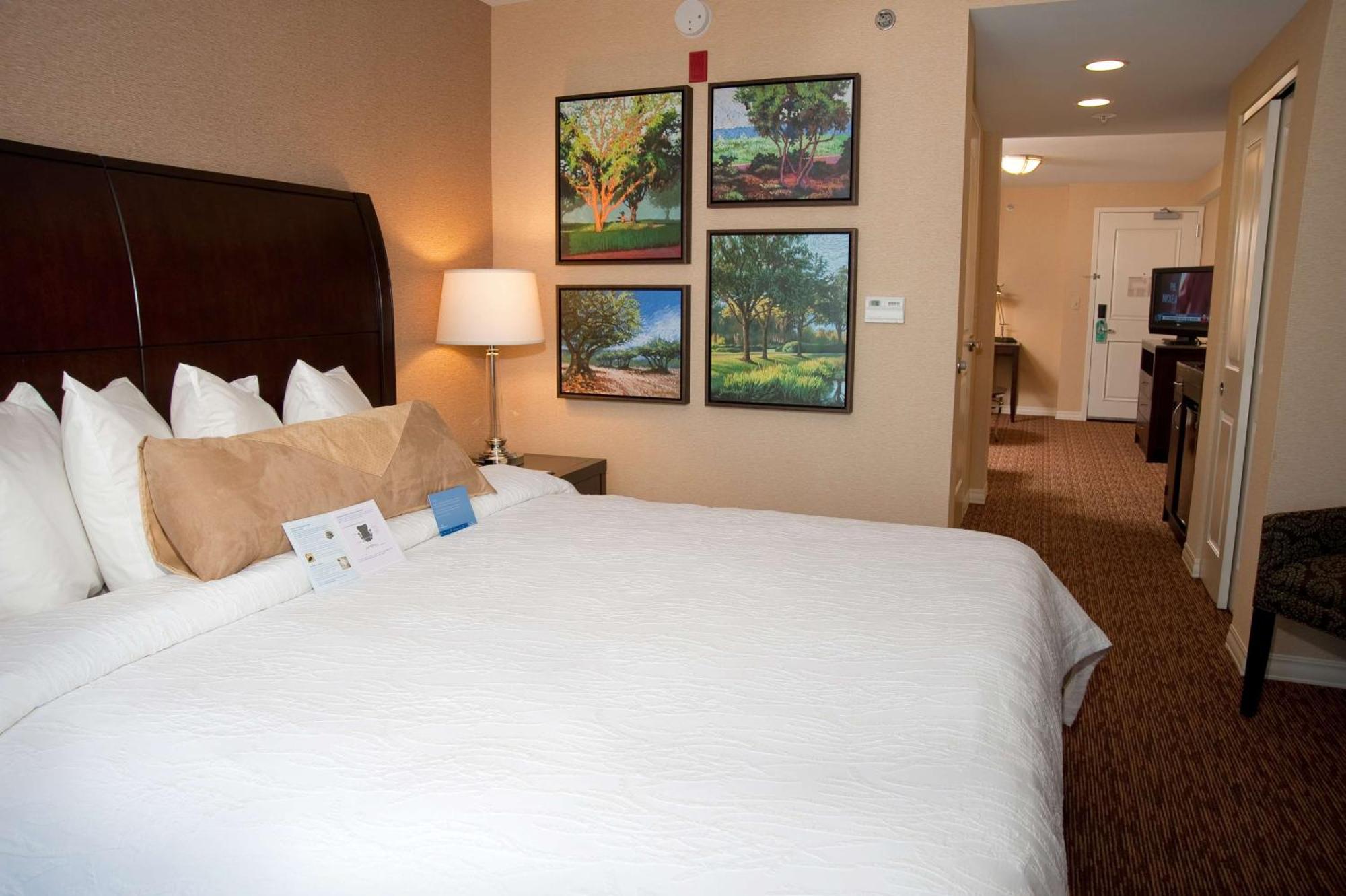 Hilton Garden Inn St. Louis Airport Berkeley Exterior foto